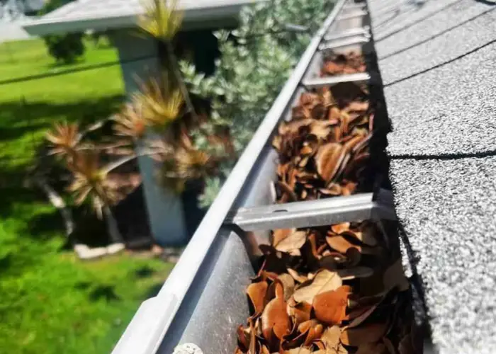 Bladensburg gutter cleaning home page